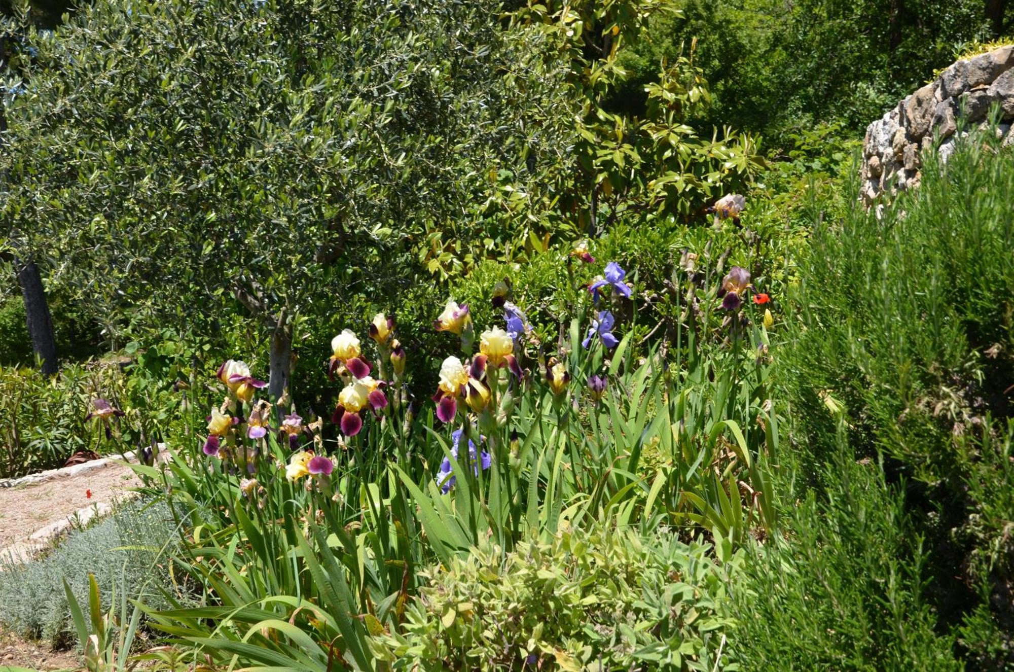 La Bastide Des Pins Bed & Breakfast Vence Exterior photo